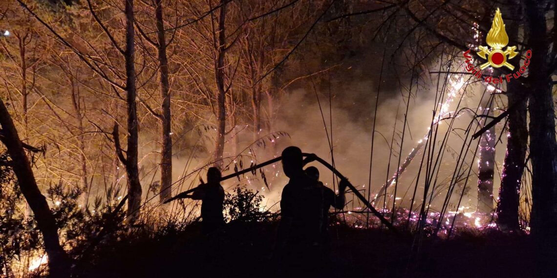 Libera sull’emergenza incendi in Calabria: non è più solo una questione ambientale, ma una priorità di legalità 1 Vibo Valentia, ancora incendi: oltre 30 interventi dei Vigili del Fuoco. In fiamme più di 100 ettari a Torre Galli (FOTO)