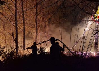 Vibo Valentia, ancora incendi: oltre 30 interventi dei Vigili del Fuoco. In fiamme più di 100 ettari a Torre Galli (FOTO)