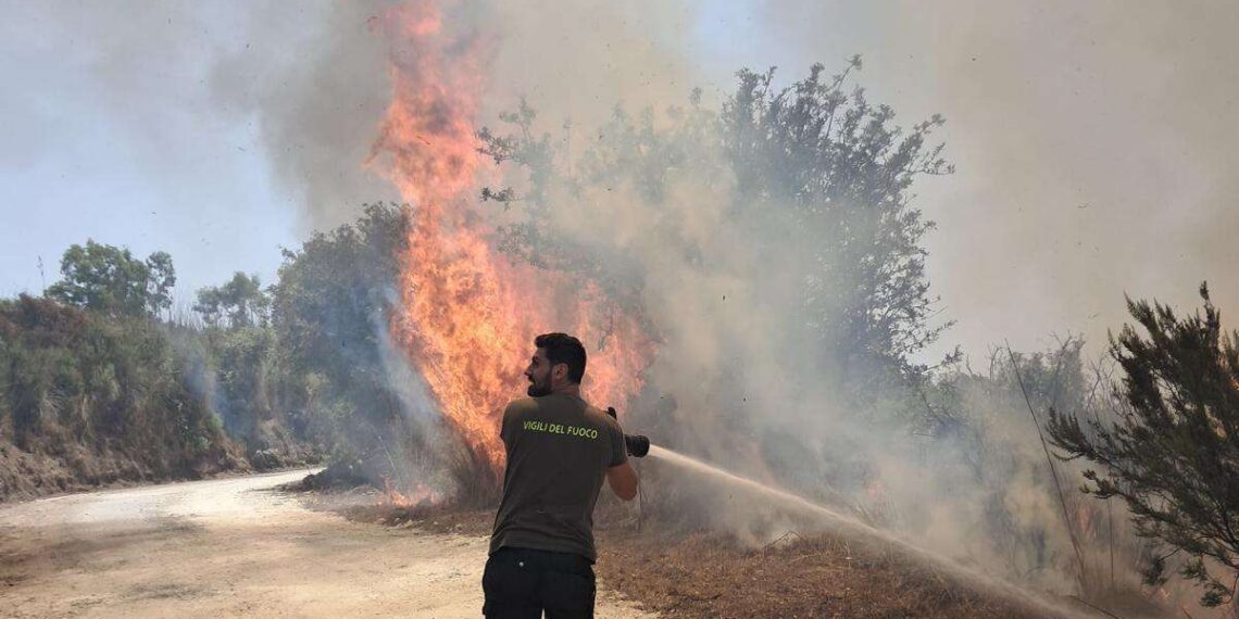Vibo Valentia, ancora incendi: oltre 30 interventi dei Vigili del Fuoco. In fiamme più di 100 ettari a Torre Galli (FOTO)