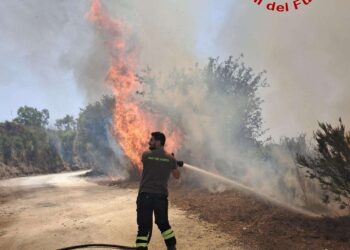 Vibo Valentia, ancora incendi: oltre 30 interventi dei Vigili del Fuoco. In fiamme più di 100 ettari a Torre Galli (FOTO)