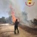 Vibo Valentia, ancora incendi: oltre 30 interventi dei Vigili del Fuoco. In fiamme più di 100 ettari a Torre Galli (FOTO)