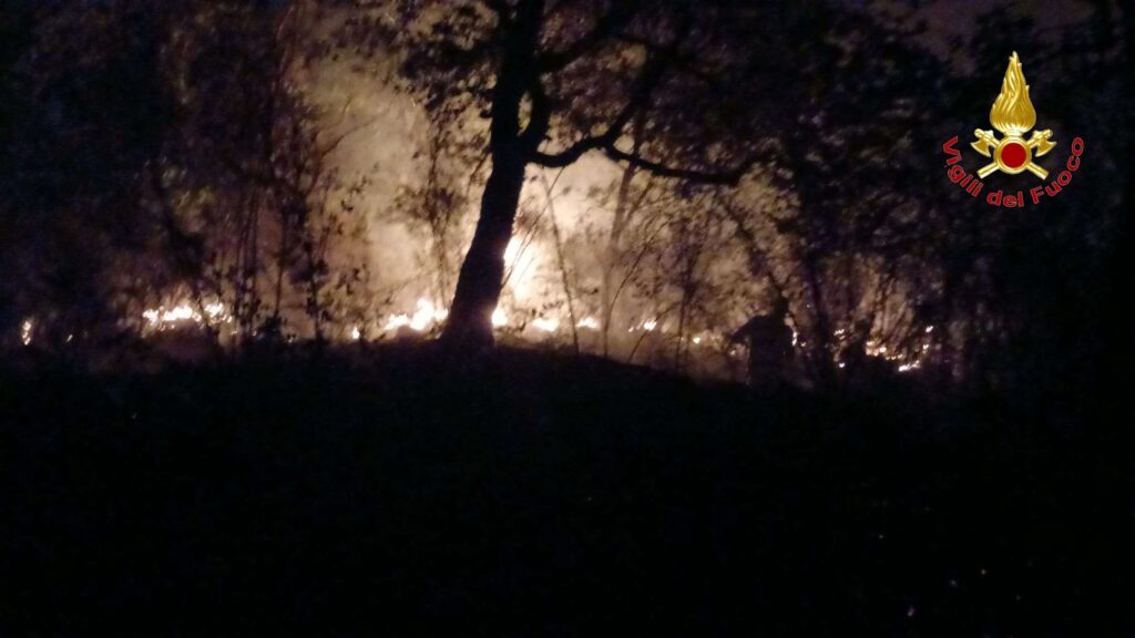 Vigili del Fuoco di Vibo Valentia impegnati per fronteggiare l'emergenza incendi 8 2 2