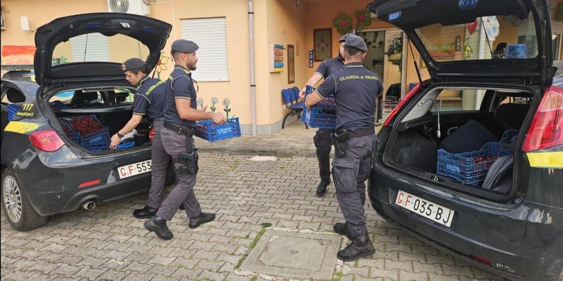 Nel Vibonese la Guardia di Finanza sequestra oltre 7300 tra merce abusiva e contraffatta