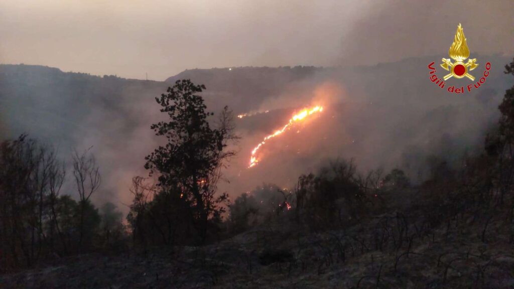 Vigili del Fuoco di Vibo Valentia impegnati per fronteggiare l'emergenza incendi 7 3 1
