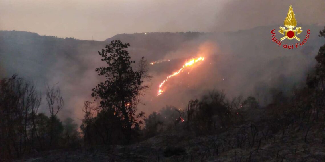 Vigili del Fuoco di Vibo Valentia impegnati per fronteggiare l'emergenza incendi 1 Vigili del Fuoco di Vibo Valentia impegnati per fronteggiare l’emergenza incendi