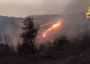 Vigili del Fuoco di Vibo Valentia impegnati per fronteggiare l'emergenza incendi 4 Vigili del Fuoco di Vibo Valentia impegnati per fronteggiare l’emergenza incendi