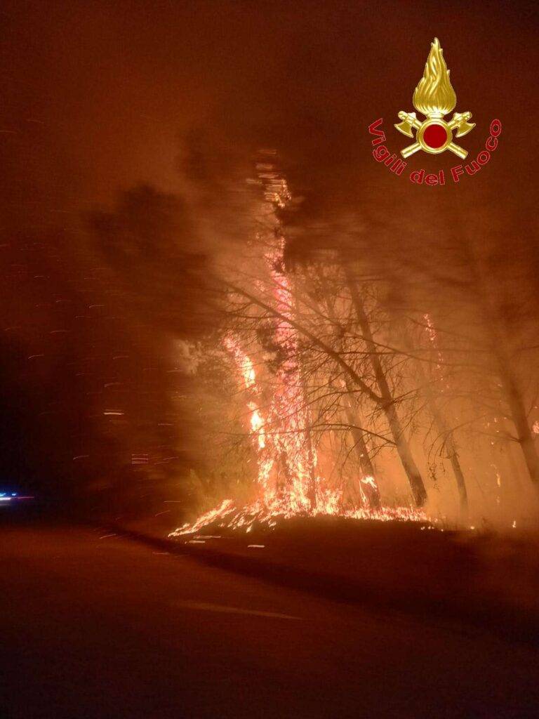 Vigili del Fuoco di Vibo Valentia impegnati per fronteggiare l'emergenza incendi 4 5 1