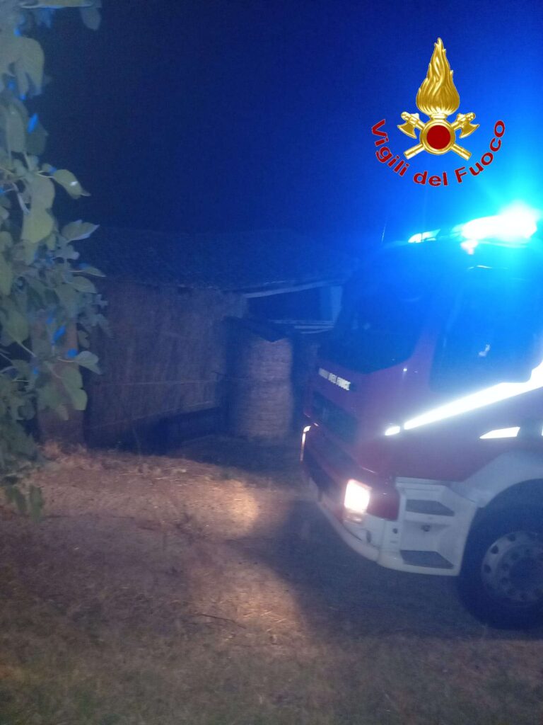 Vigili del Fuoco di Vibo Valentia impegnati per fronteggiare l'emergenza incendi 3 6