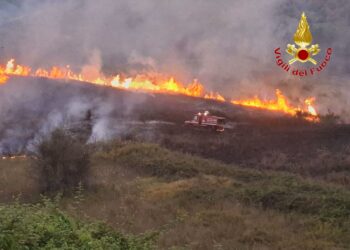 Week end di fuoco quello appena trascorso nel vibonese (VIDEO) 4 Week end di fuoco nel Vibonese (FOTO)