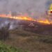 Week end di fuoco quello appena trascorso nel vibonese (VIDEO) 9 Week end di fuoco nel Vibonese (FOTO)