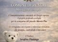 È morto il piccolo Francesco Pio, portato d’urgenza a Catanzaro in seguito ad una probabile infezione