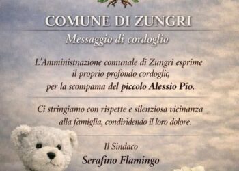 È morto il piccolo Francesco Pio, portato d’urgenza a Catanzaro in seguito ad una probabile infezione 2 È morto il piccolo Francesco Pio, portato d’urgenza a Catanzaro in seguito ad una probabile infezione