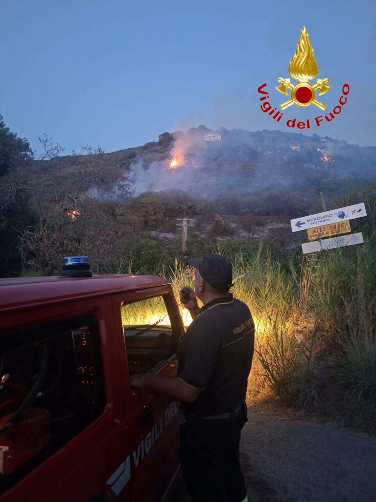Vasto incendio si è svilupato ieri nel tardo pomeriggio tra Santa Maria di Ricadi e Joppolo (VIDEO) 3 753880992 1090827216851309 8234174739406137626 n