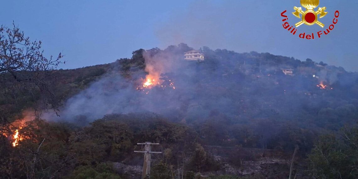 Vasto incendio si è svilupato ieri nel tardo pomeriggio tra Santa Maria di Ricadi e Joppolo (VIDEO) 1 Vasto incendio si è svilupato ieri nel tardo pomeriggio tra Santa Maria di Ricadi e Joppolo (VIDEO)