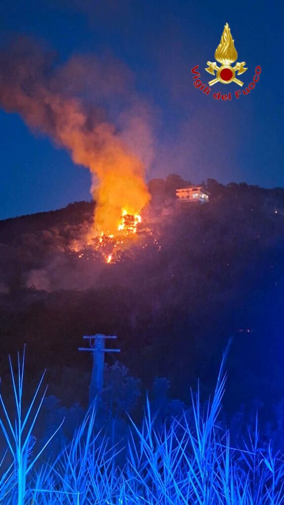 Vasto incendio si è svilupato ieri nel tardo pomeriggio tra Santa Maria di Ricadi e Joppolo (VIDEO) 2 756347816 1552370133252833 5694207710891582763 n