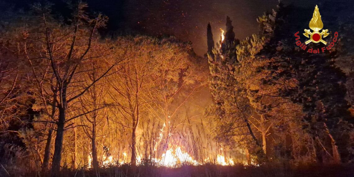 Gatti trasformati in torce viventi: quando la crudeltà diventa uno strumento del crimine 1 Vibo Valentia, ancora incendi: oltre 30 interventi dei Vigili del Fuoco. In fiamme più di 100 ettari a Torre Galli (FOTO)