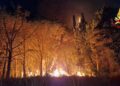 Vibo Valentia, ancora incendi: oltre 30 interventi dei Vigili del Fuoco. In fiamme più di 100 ettari a Torre Galli (FOTO)