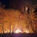 Gatti trasformati in torce viventi: quando la crudeltà diventa uno strumento del crimine 11 Vibo Valentia, ancora incendi: oltre 30 interventi dei Vigili del Fuoco. In fiamme più di 100 ettari a Torre Galli (FOTO)