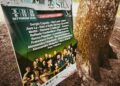 Un’anteprima esperienziale svela “A Farla Amare Comincia Tu – Opera Sila”, il festival che porta artisti e pubblico nel bosco