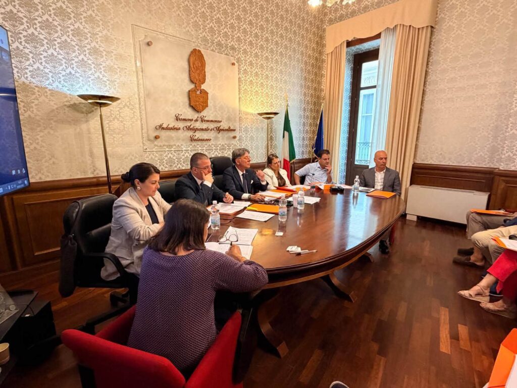 Il Consiglio della Camera di Commercio approva il bilancio d'esercizio 2025 e definisce gli indirizzi operativi per il triennio 2026-2028 3 Consiglio camerale1
