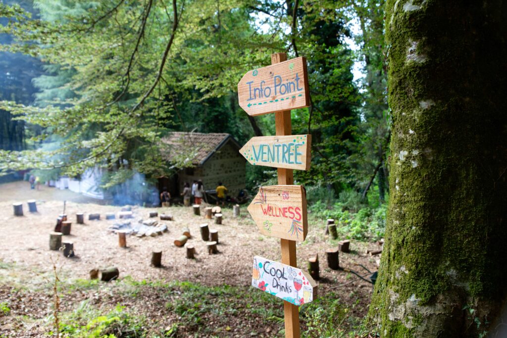 In partenza Kalabria Eco Fest: dal 16 al 19 luglio simposi, musica e laboratori nel Bosco della Gigliara 4 Foto Elena Vaccaro