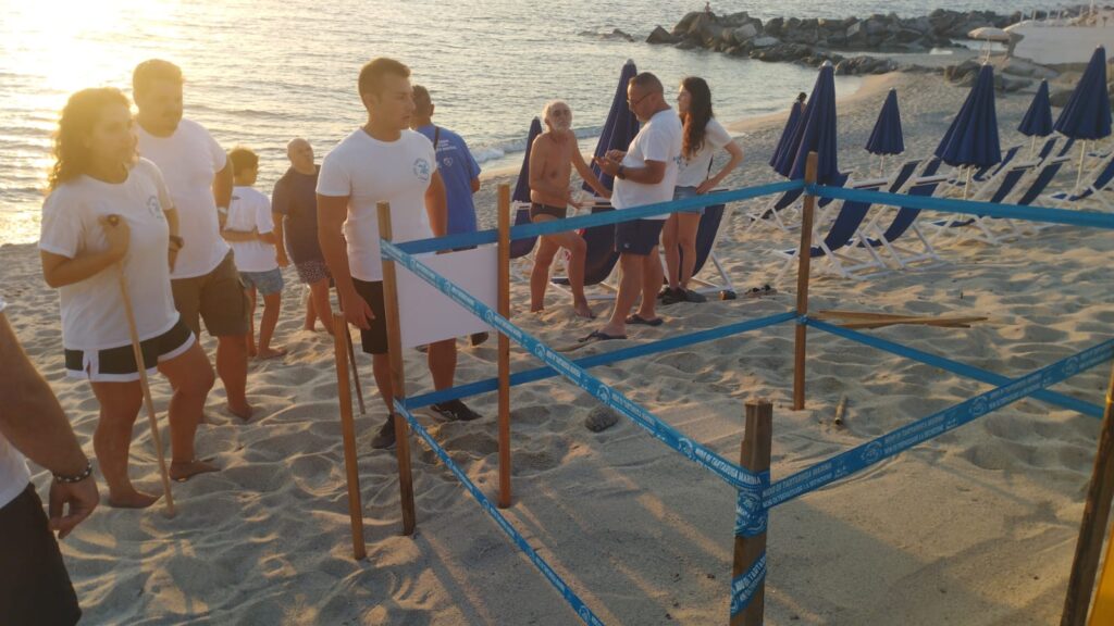 Trovato sulla Spiaggia del Tono, a Capo Vaticano, il terzo nido di tartarughe della stagione 2 IMG 20260712 WA0055