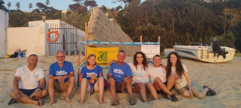 Trovato sulla Spiaggia del Tono, a Capo Vaticano, il terzo nido di tartarughe della stagione 3 IMG 20260712 WA0065
