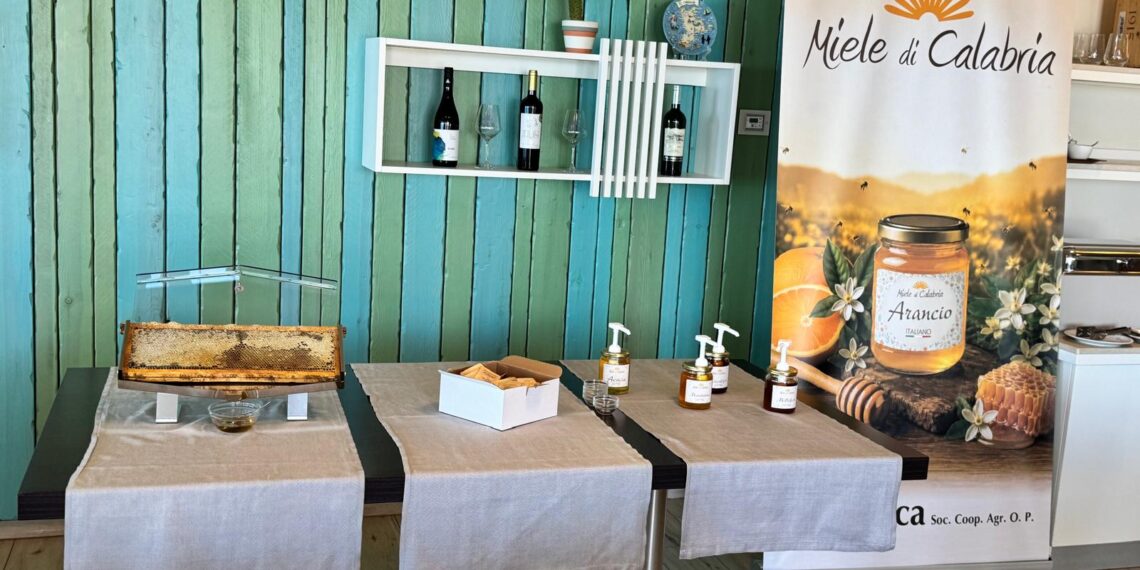 Il miele grande risorsa di una Calabria tesoro di biodiversità: iniziativa di Apica coop OP a Capo Vaticano