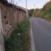 Vibo Valentia, marciapiedi invasi e città abbandonata: la denuncia di Forza Italia 8 Vibo Valentia, marciapiedi invasi e città abbandonata: la denuncia di Forza Italia