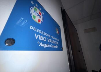 FIGC-LND Vibo Valentia, il bilancio di fine stagione: cresce l’attività di base, obiettivo calcio femminile 1 FIGC-LND Vibo Valentia, il bilancio di fine stagione: cresce l’attività di base, obiettivo calcio femminile