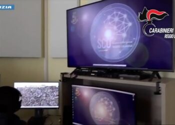 Blitz antidroga di Carabinieri e Polizia nel Reggino (VIDEO) 4 Blitz antidroga di Carabinieri e Polizia nel Reggino (VIDEO)