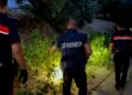 I Carabinieri scoprono una piantagione nella Locride (VIDEO)
