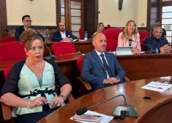 Questione asili nido a Vibo Valentia: bocciata l’urgenza dell’Ordine del Giorno della “nuova minoranza allargata”