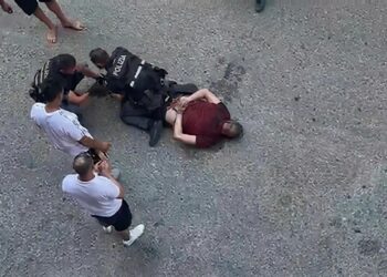 L'assurda, ingiustificabile morte di Bologna e quel dolore mischiato con l'orrore 6 L’assurda, ingiustificabile morte di Bologna e quel dolore mischiato con l’orrore
