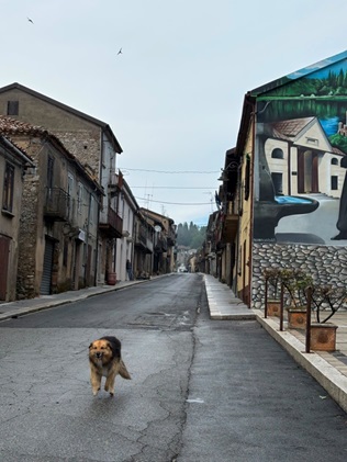 "Diario del Cammino del Normanno": quando il viaggio diventa racconto dell'anima 8 cammino cane 2