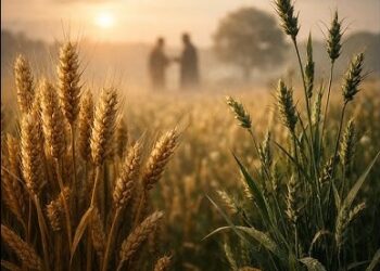 Don Fiorillo, il compito di noi cristiani, oggi, è far riemergere il bene, la luce ed allontanare, così, il male 4 Don Fiorillo, il compito di noi cristiani, oggi, è far riemergere il bene, la luce ed allontanare, così, il male