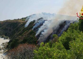 Vasto incendio a Zambrone: impegnati i Vigili del Fuoco di Vibo Valentia, bloccato il traffico ferroviario (FOTO) 1 Vasto incendio a Zambrone: impegnati i Vigili del Fuoco di Vibo Valentia, bloccato il traffico ferroviario (FOTO)