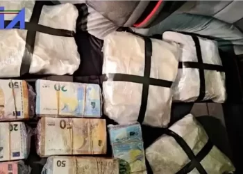 Operazione antidroga della DIA “Whisper”: 23 arresti. La “roba” partiva anche da Vibo Valentia