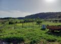 Impianto fotovoltaico a Maierato (Piana degli Scrisi) l’Ordine degli Agronomi di Vibo Valentia al fianco degli agricoltori 3 Impianto fotovoltaico a Maierato (Piana degli Scrisi) l’Ordine degli Agronomi di Vibo Valentia al fianco degli agricoltori