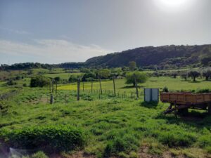 Impianto fotovoltaico a Maierato (Piana degli Scrisi) l’Ordine degli Agronomi di Vibo Valentia al fianco degli agricoltori 5 Impianto fotovoltaico a Maierato (Piana degli Scrisi) l’Ordine degli Agronomi di Vibo Valentia al fianco degli agricoltori