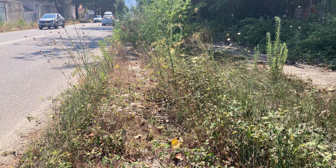 Vibo Valentia, degrado lungo le strade, le associazioni alzano la voce: «Il territorio merita rispetto» 1 Vibo Valentia, degrado lungo le strade, le associazioni alzano la voce: «Il territorio merita rispetto»