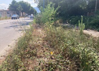Vibo Valentia, degrado lungo le strade, le associazioni alzano la voce: «Il territorio merita rispetto»