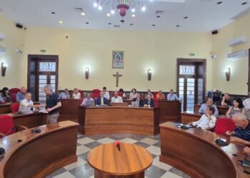 Sanità vibonese, la Conferenza dei sindaci accende i riflettori sul 118. Ma le risposte non possono più attendere