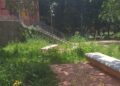 Intesa tra Comune e Casa circondariale: due unità impiegate per la manutenzione di Villa Gagliardi in un percorso di reinserimento sociale 5 Intesa tra Comune e Casa circondariale: due unità impiegate per la manutenzione di Villa Gagliardi in un percorso di reinserimento sociale