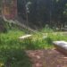 Intesa tra Comune e Casa circondariale: due unità impiegate per la manutenzione di Villa Gagliardi in un percorso di reinserimento sociale 9 Intesa tra Comune e Casa circondariale: due unità impiegate per la manutenzione di Villa Gagliardi in un percorso di reinserimento sociale