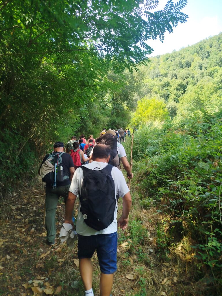 Gerocarne, un successo la passeggiata ecologica sul Sentiero del Brigante “Alla scoperta della Biodiversità” 4 1000211051
