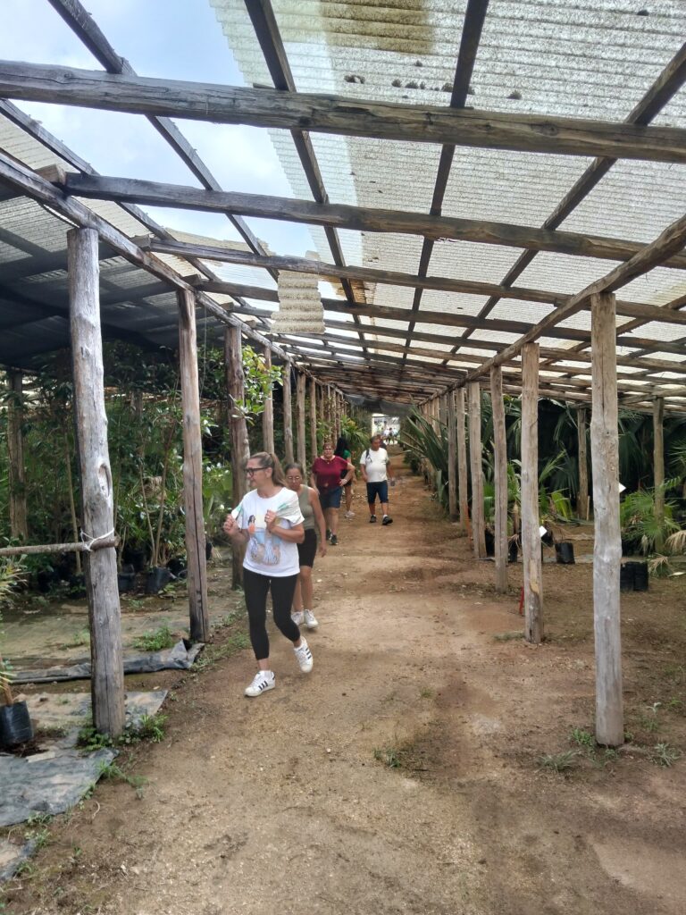 Gerocarne, un successo la passeggiata ecologica sul Sentiero del Brigante “Alla scoperta della Biodiversità” 3 1000211377