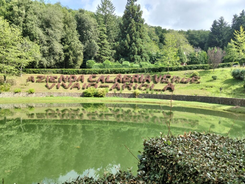 Gerocarne, un successo la passeggiata ecologica sul Sentiero del Brigante “Alla scoperta della Biodiversità” 7 1000211393