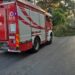 Reggio Calabria, si stacca un grosso ramo da un albero del Lungomare Matteotti all'altezza di Villa Zerbi 9 Reggio Calabria, si stacca un grosso ramo da un albero del Lungomare Matteotti all’altezza di Villa Zerbi