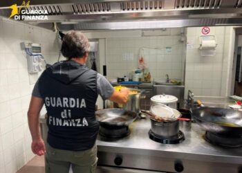La Guardia di Finanza sequestra 91 chili di prodotti ittici non tracciati in un ristorante di Marina di Gioiosa Ionica 7 La Guardia di Finanza sequestra 91 chili di prodotti ittici non tracciati in un ristorante di Marina di Gioiosa Ionica